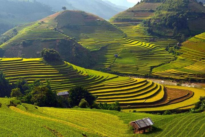 Mỹ Tâm: Họa mi tóc nâu và mối quan hệ với học trò