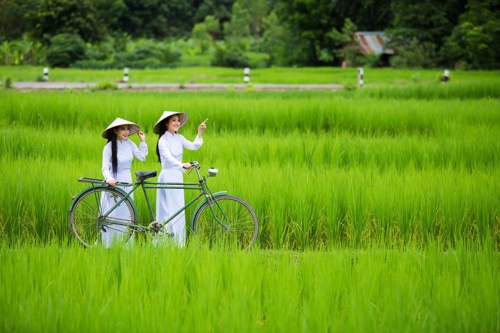 Tiêu đề: Gen Z: Lựa chọn sống