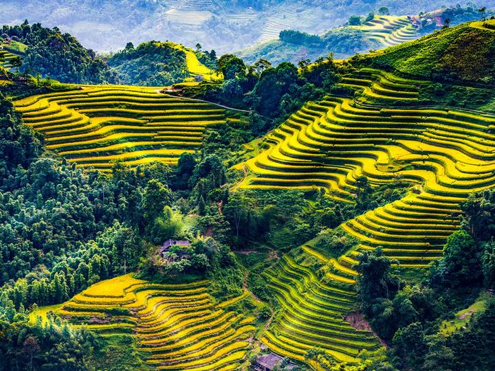 Huang Yoyo: Shop này dựa trên thiết kế basic, nhưng lại trẻ trung và phong cách.