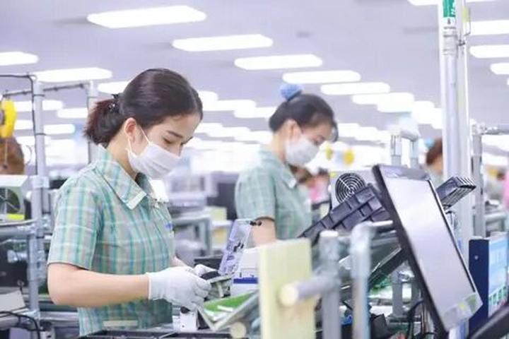 Forestival 2025 và Hotspot Matrix: Một sự kiện video ngắn độc đáo